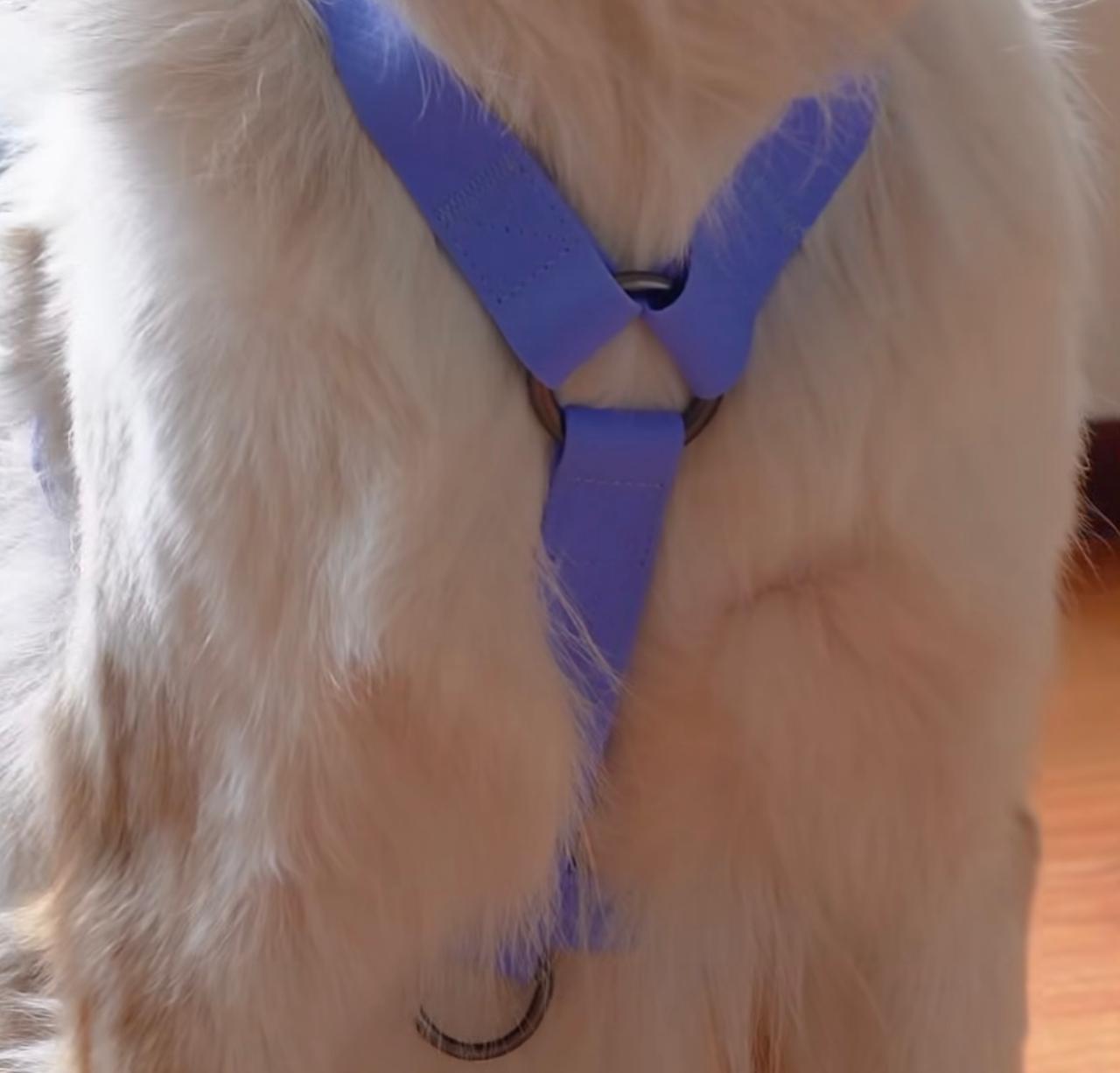 Arnés en H antifluido