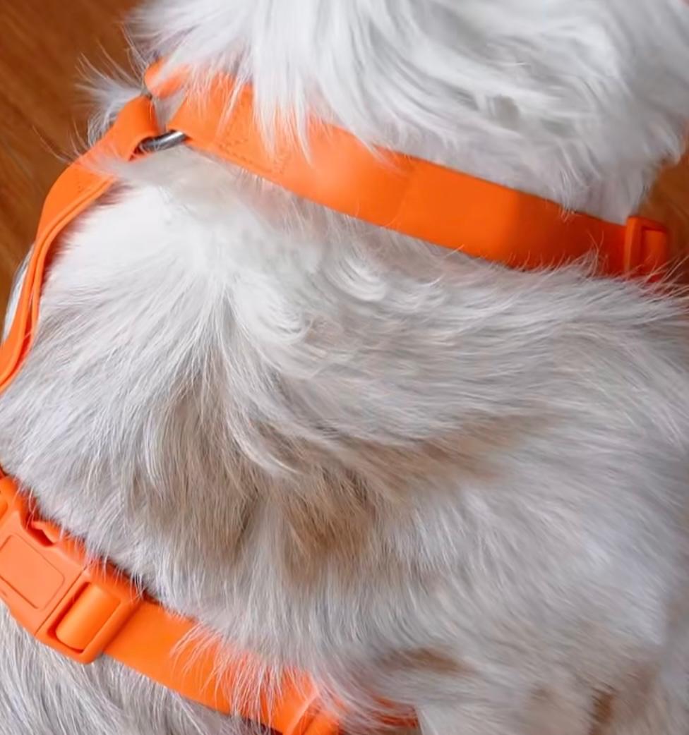 Arnés en H antifluido