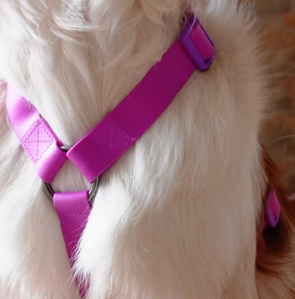 Arnés en H antifluido