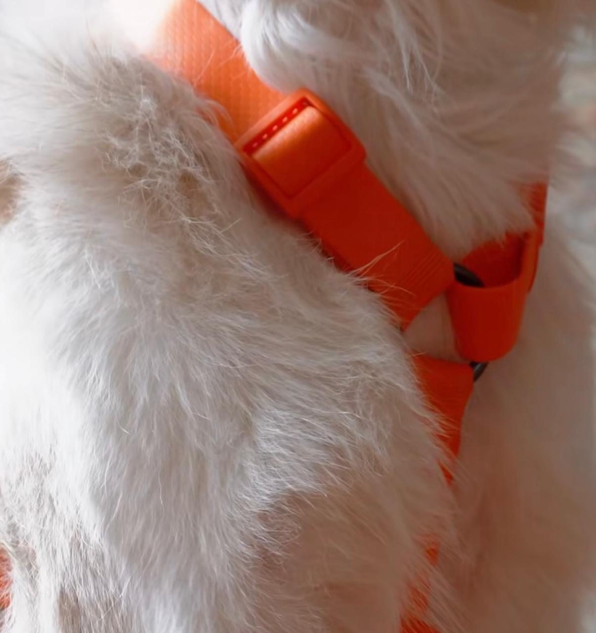 Arnés en H antifluido