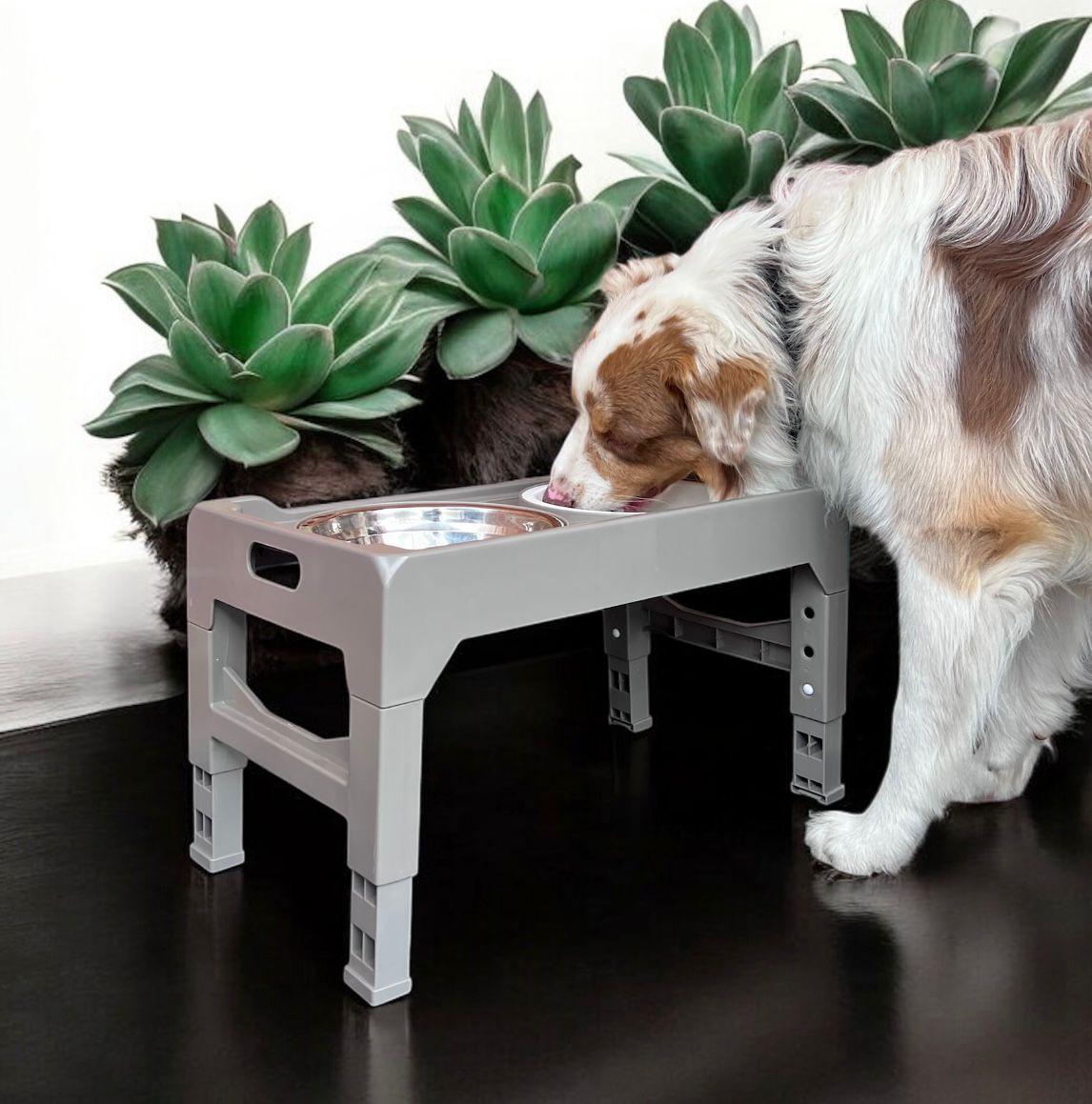 Comedero doble con tres alturas para perros